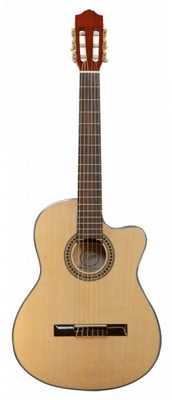  Гитара Vision Classic 50