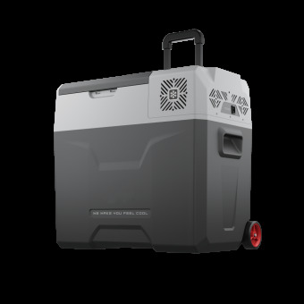 Автохолодильник Alpicool CX50 (12/24)