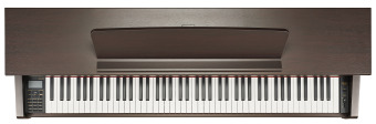 Цифровое пианино Becker BAP-62R