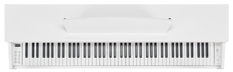 Цифровое пианино Becker BDP-92W