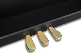 Цифровое пианино CASIO Celviano GP-310BK