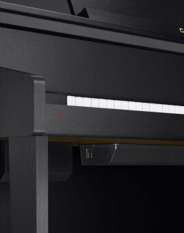 Цифровое пианино CASIO Celviano GP-310BK