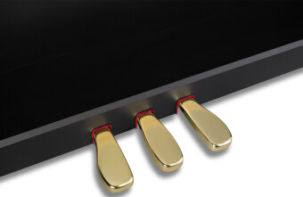 Цифровое пианино Casio GP-510 BP