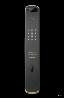 Биометрический электронный замок с распознаванием лица Kaadas K13F (gold)