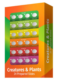   Levenhuk LabZZ CP24,   