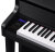 Цифровое пианино CASIO Celviano GP-310BK