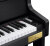 Цифровое пианино CASIO Celviano GP-310BK