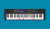 Синтезатор CASIO LK-S450