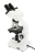 Микроскоп Celestron LABS CB2000CF, бинокулярный