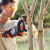 Аккумуляторная пила Stihl MSA 120 C-BQ, шина R 30 см, цепь 71 PM3, AK 20, AL 101