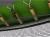 Батут UNIX line 10 ft inside (Green)
